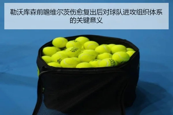 勒沃库森前瞻维尔茨伤愈复出后对球队进攻组织体系的关键意义